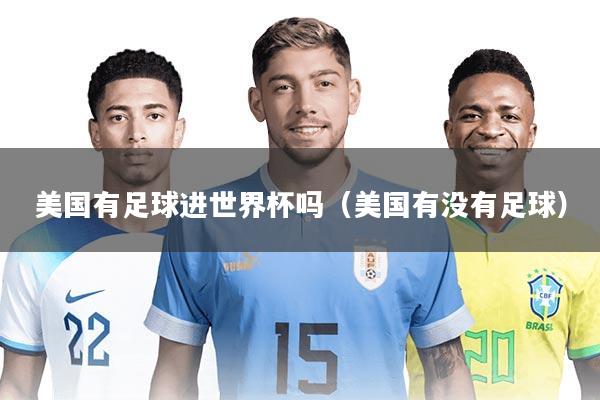 美国有足球进世界杯吗(美国有没有足球)