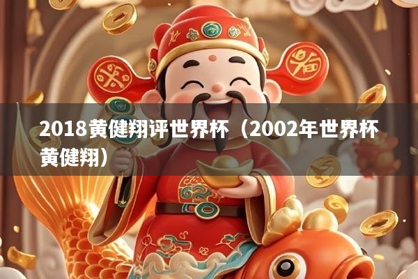 2018黄健翔评世界杯（2002年世界杯黄健翔）