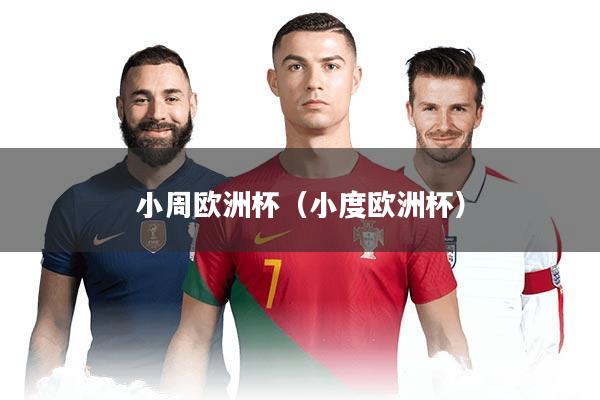 小周欧洲杯(小度欧洲杯)