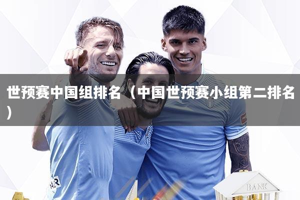 世预赛中国组排名(中国世预赛小组第二排名)