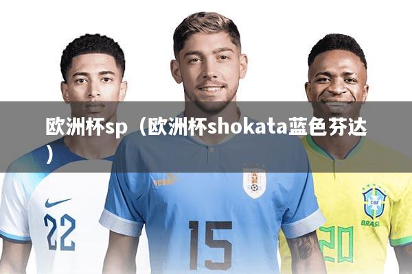 欧洲杯sp(欧洲杯shokata蓝色芬达)