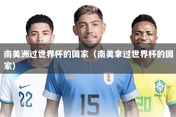 南美洲过世界杯的国家（南美拿过世界杯的国家）