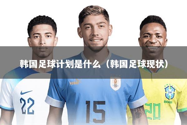 韩国足球计划是什么（韩国足球现状）