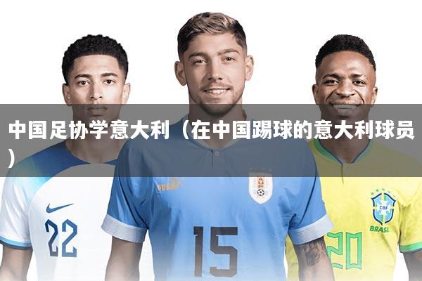 中国足协学意大利（在中国踢球的意大利球员）